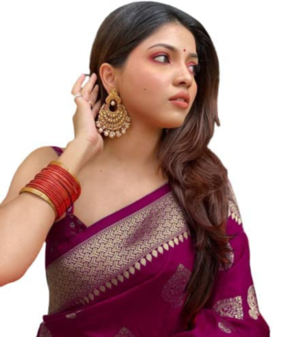 Banarashi saree